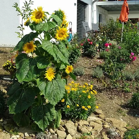 Ferienwohnung Hofstatt Lalling Exterior foto